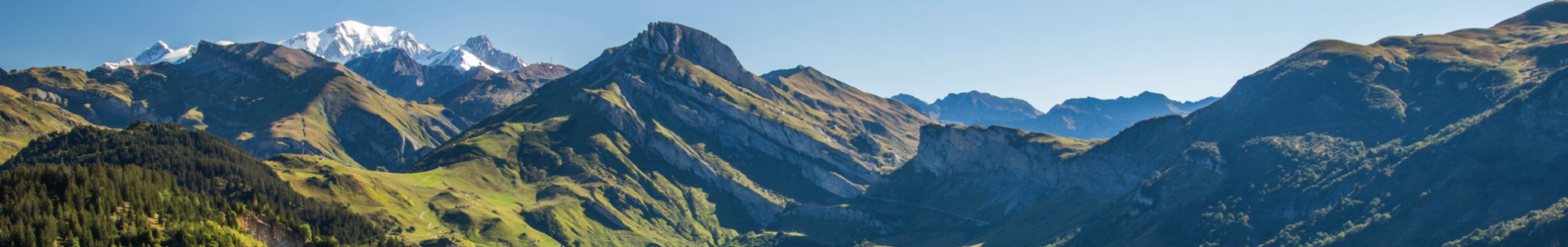 Cerfrance Région Auvergne Rhône-Alpes